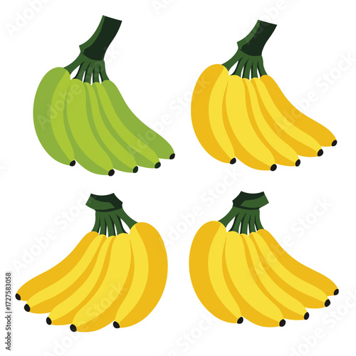 Ripe and unripe bananas in different arrangements and colors.