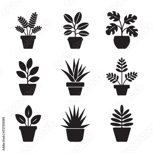 Collection of nine diverse potted house plants in silhouette for modern home decor and design elements