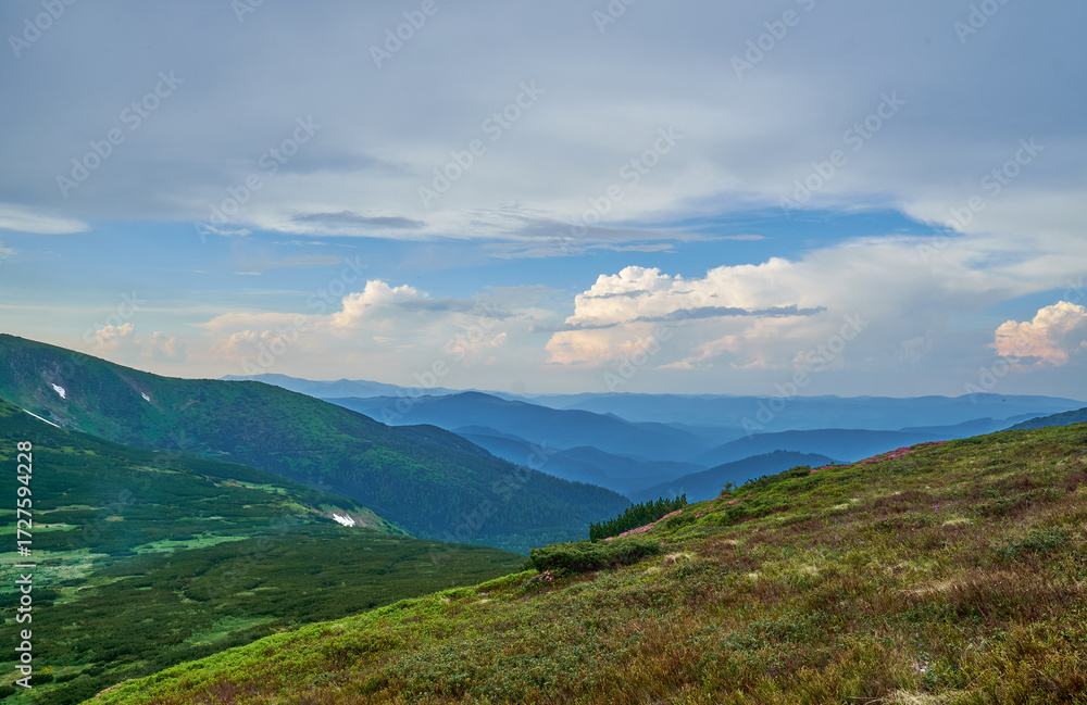 Fototapeta premium Beautiful Carpathian mountains in Ukraine