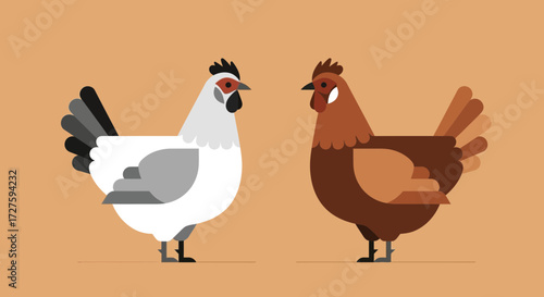 Two stylized chickens, one white and one brown, stand facing each other against a plain orange background, showcasing their distinct plumage and features in a flat design illustration