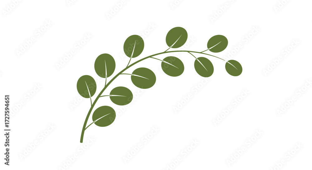 Fototapeta premium A delicate sprig of green leaves unfurls on a light background.