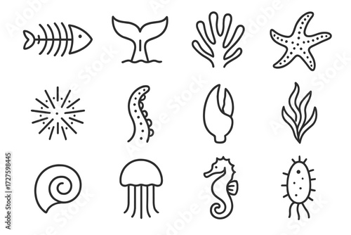 Life icon sea marine octopus bell vector starfish plankton tentacle seaweed anatomy