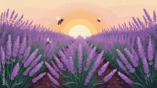Lavender Field Sunset Bees Flying Vector Illustration