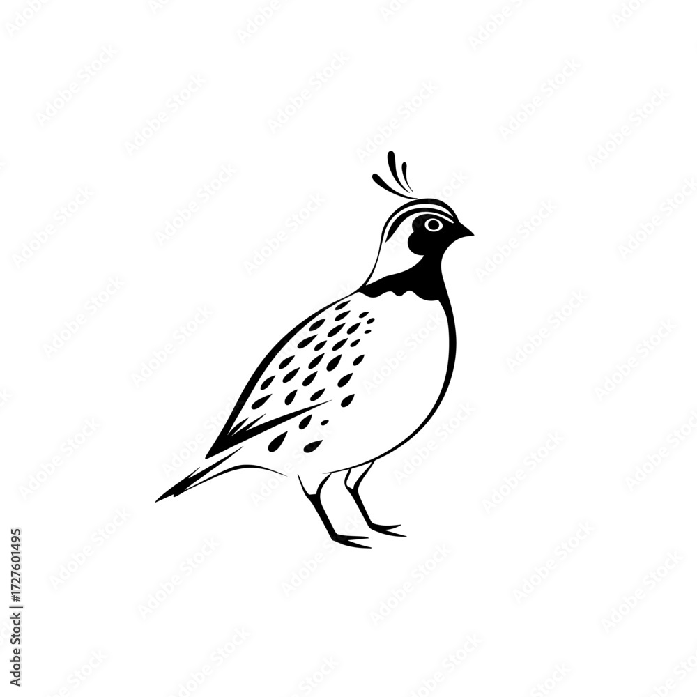 Fototapeta premium quail. quail simple black and white line art vector logo