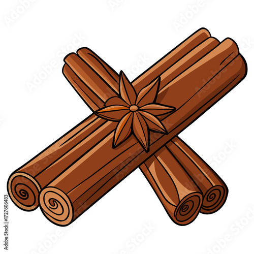 cinnamon sticks and anise
