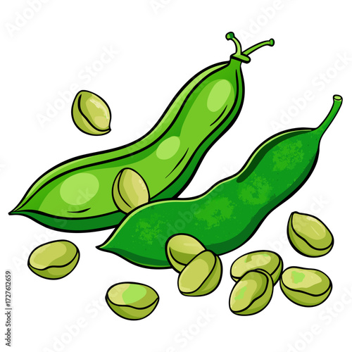 vector illustration of a green peas