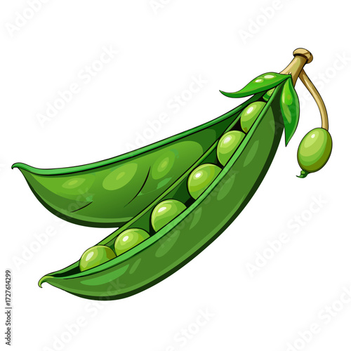 fresh green peas