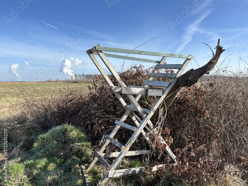 A lookout point in front of the Hambach Forest with power plant cooling towers in the background near the village of Bürgewald (formerly Morschenich), Germany, Europe, on February 25, 2025