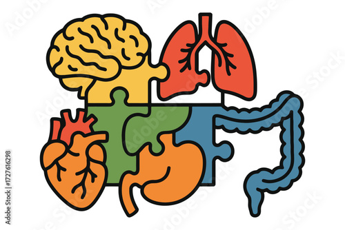 Human anatomy organs assembled like puzzle pieces connected together concept