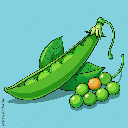 illustration of green peas