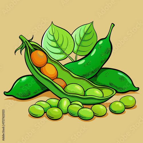 vector illustration of a green peas