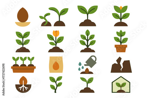 Plant Growth Icons. Growth stages set of icons in abstract flat : seed, sprouting seed, two-leaf seedling, four-leaf sprout, young plant, budding