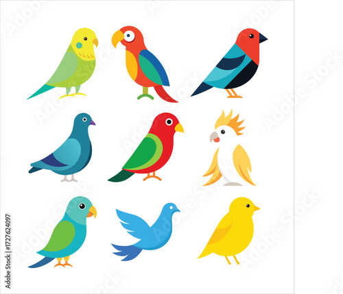 Colorful cartoon birds collection budgie parrot