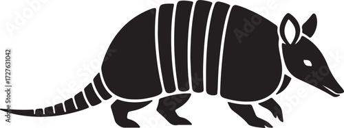 Nine banded armadillo
