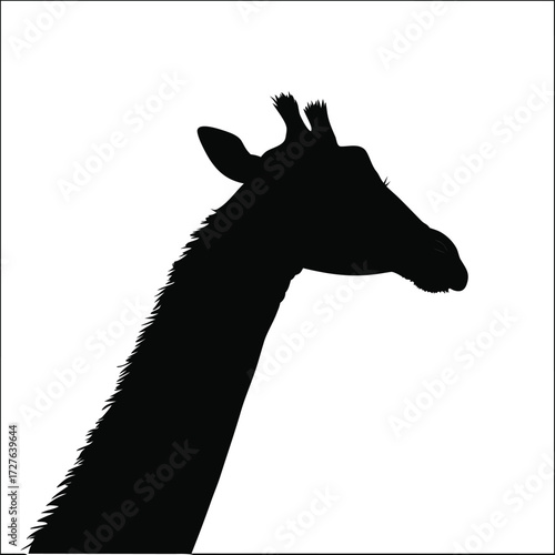 giraffe silhouette vector illustration