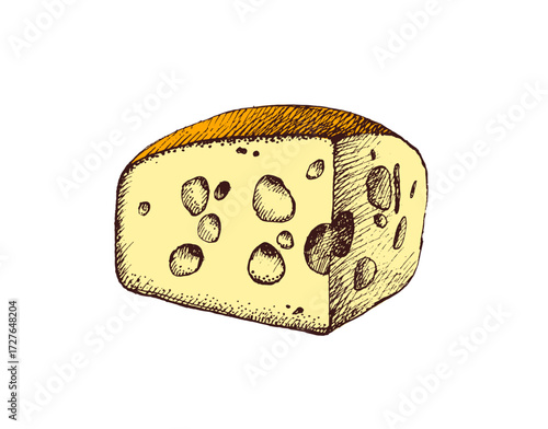 Hand drawn sketch cheese maasdam. Isolated vintage vector illustration of natural milk food