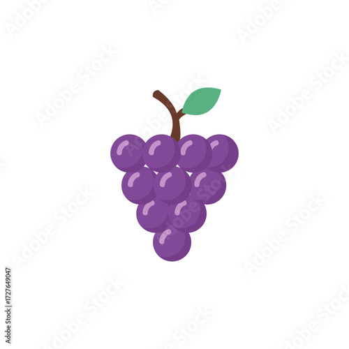 Close-up illustration of a bunch of purple grapes, showing the stem and leaf.