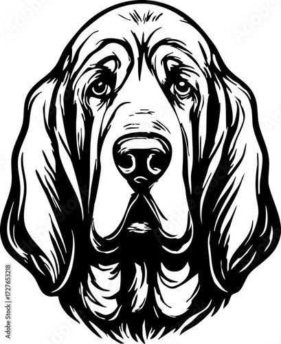 Bloodhound head front view with wrinkled skin, long ears, and detailed features.