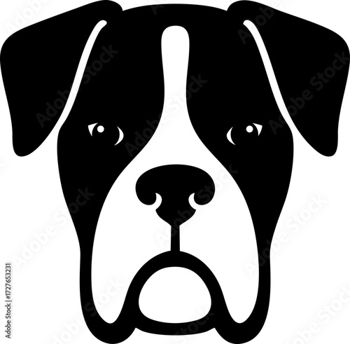 Boxer dog head shown from the front with short muzzle and alert ears.