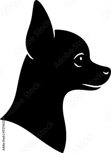 Chihuahua profile with small head, short muzzle, and upright ears.