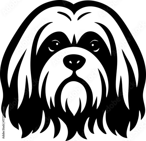 Lhasa Apso head front view with long flowing hair and small muzzle.