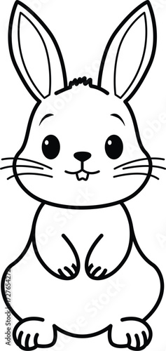 Rabbit Illustration Coloring book