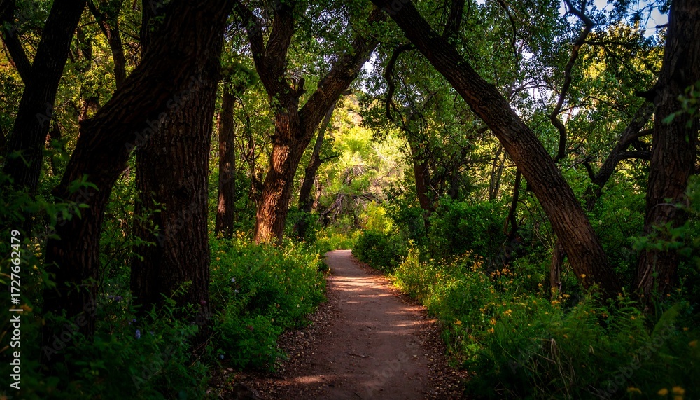 Fototapeta premium Sunny trail through a leafy forest