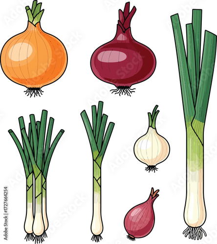 Vector, illustration, red onion, garlic, onion, celery,