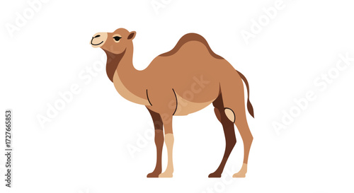 Cartoon Illustration of a Standing Brown Camel with Hump.