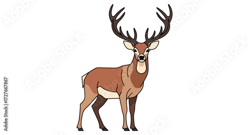 Majestic Stag Deer with Large Antlers Standing Proudly.