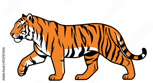 Majestic Bengal Tiger Walking with Distinctive Orange and Black Stripes.