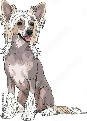 Chinese Crested Dog sitting happy panting looking away illustration