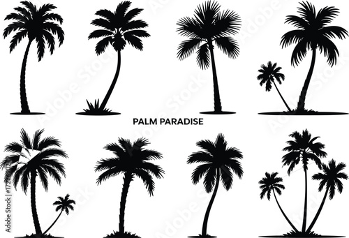 Palm tree silhouette vector set with tropical island beach trees, summer paradise decoration, black palm shapes, exotic vacation illustration, nature landscape design, coastal jungle