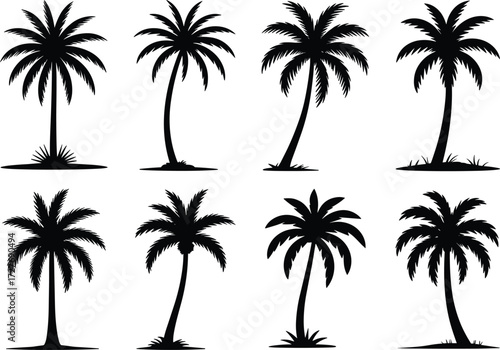 Palm tree silhouette vector set, tropical beach trees, summer vacation elements, coconut trees clipart, black palm icons, nature illustration, landscape decoration design