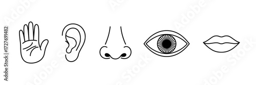 Five senses icons illustration hand ear nose eye and mouth represent human perception of the world