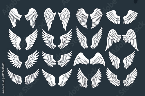 Collection of Angel Wings White Feathered Wings Variety of Shapes for Spiritual or Decorative Design Elements