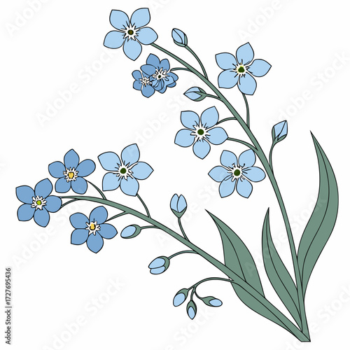 forget me not blue flowers with leaves 