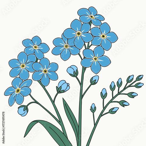 forget me not blue flowers with leaves