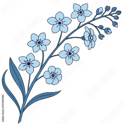 forget me not blue flowers on white background 