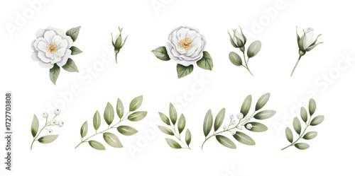 White watercolor rose blossoms and buds with leaves.