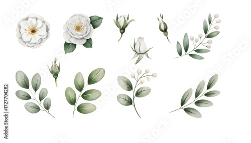 White watercolor rose blossoms and buds with leaves.