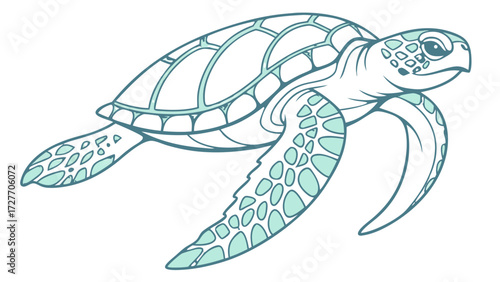 Vector illustration of a turtle, Sea Turtle Line Art: Marine Animal Outline, Ocean Life Vector 