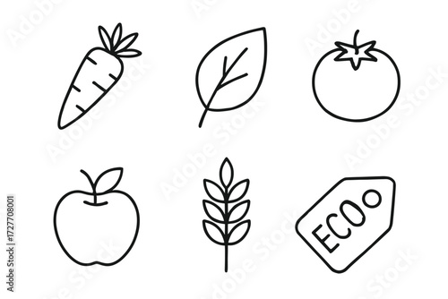 Organic food icons: carrot, leaf, tomato, apple, wheat, eco tag