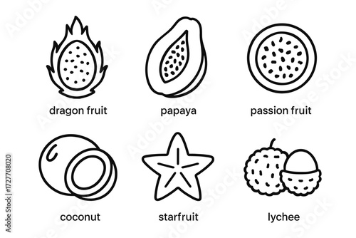 Line drawings of tropical fruits: dragon fruit, papaya, passion fruit, coconut, starfruit, lychee