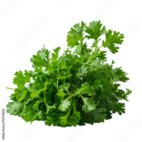 parsley isolated on white background