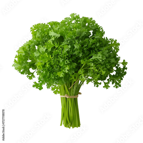 parsley isolated on white background