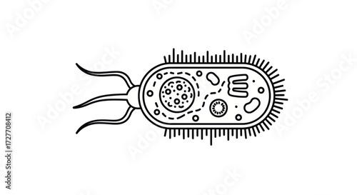 Detailed Black and White Illustration of a Bacterium with Flagella.