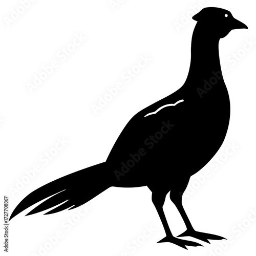 Pheasant silhouette with long tail black vector illustration for digital design and creative graphic projects