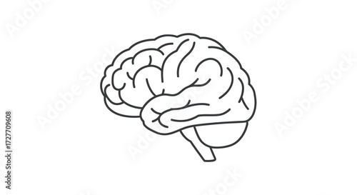 Stylized Line Art Illustration of a Human Brain.