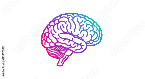 Vibrant gradient human brain illustration side view.